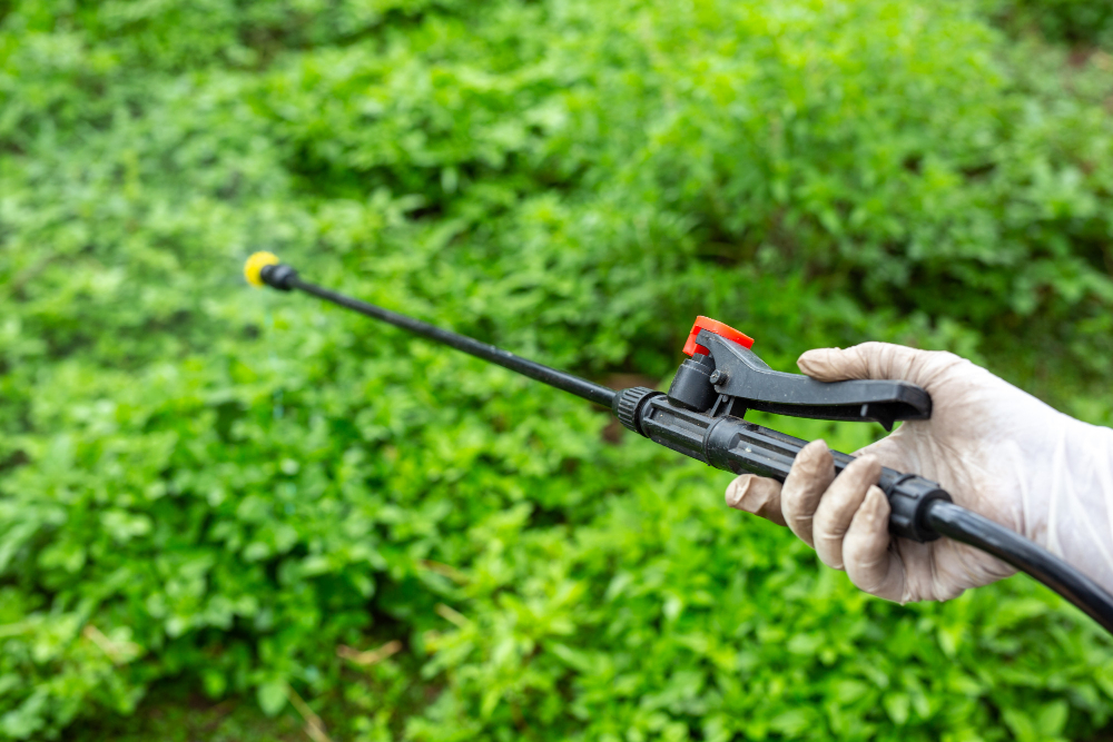 gardeners-are-spraying